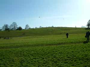 Parlaiment Hill again